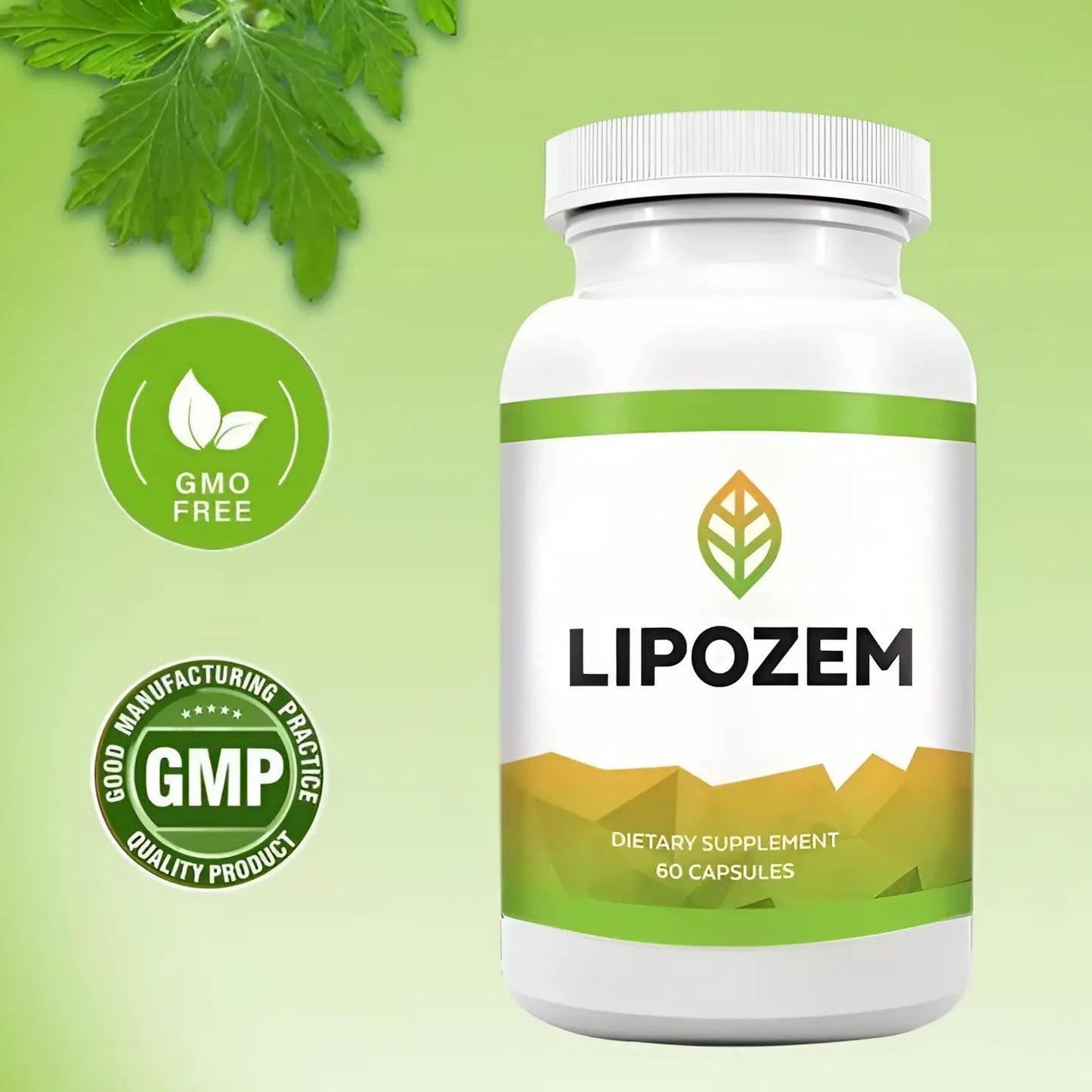 Lipozem - Advanced Support for Weight Management and Gut Health